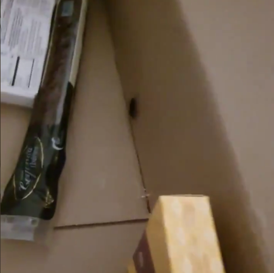Video Una Empresa De Sabadell Denuncia Haber Recibido Un Lote Navideno De El Corte Ingles Con Una Cucaracha Dentro