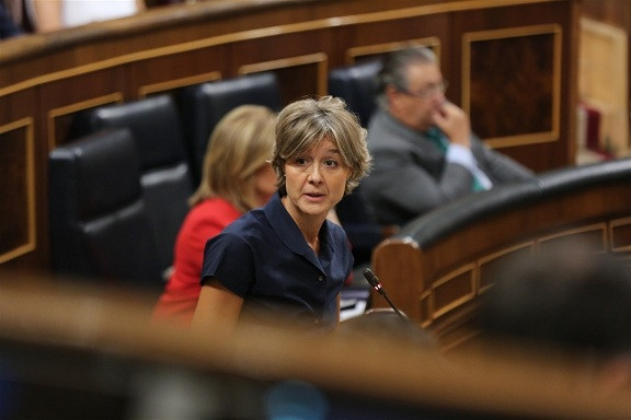 Tejerina congreso