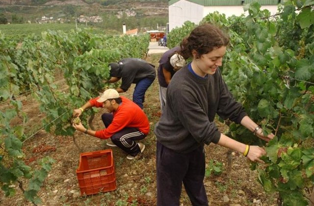 Temporeros lleida fruta