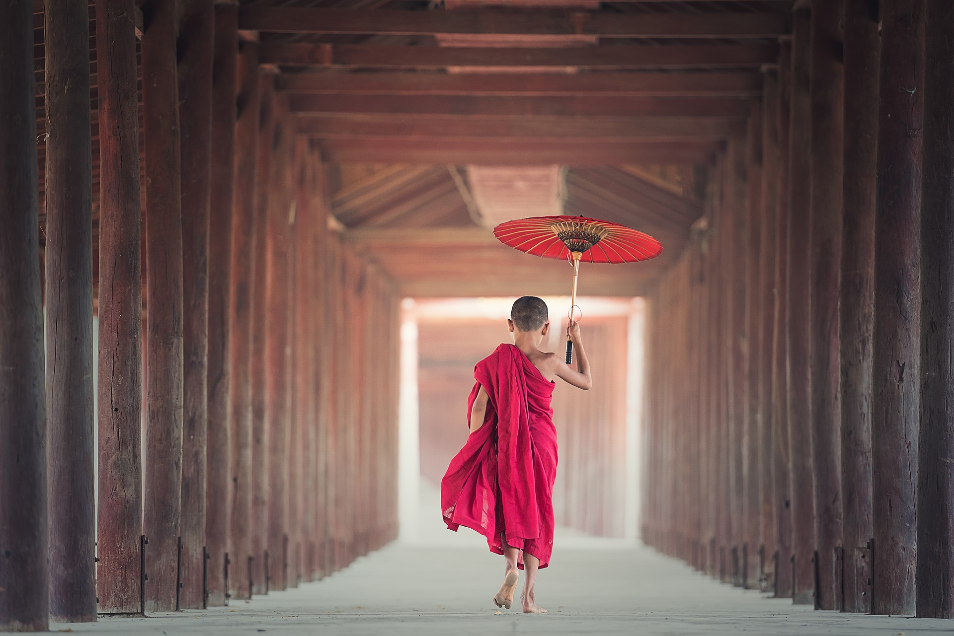 Umbrella