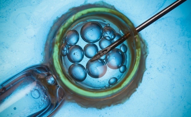 Detectan en Catalunya el primer caso mundial de enfermedad genética transmitida por donante de semen