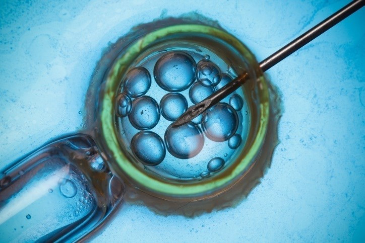 Embriones genetica