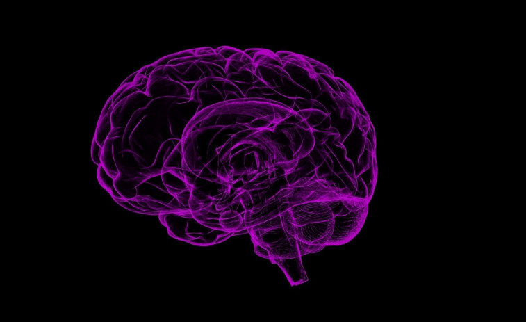Estudiar el cerebro bajo los efectos del LSD aporta datos 