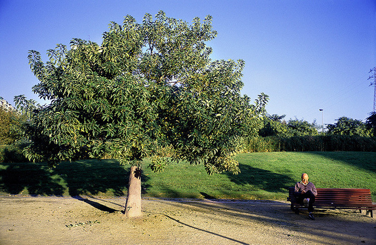 Parc de Bellvitge