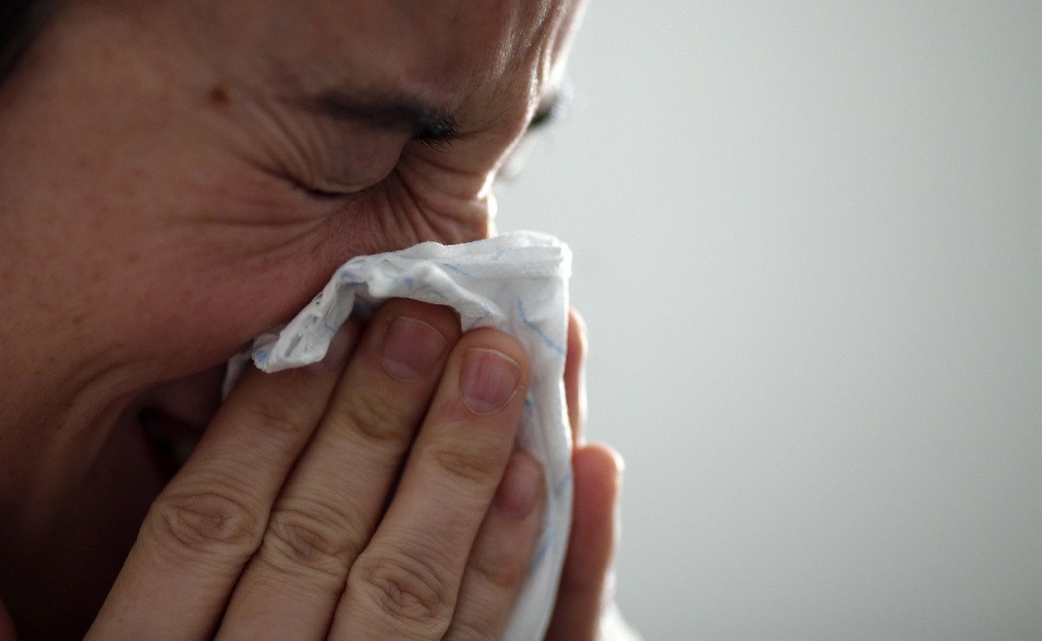 Gripe