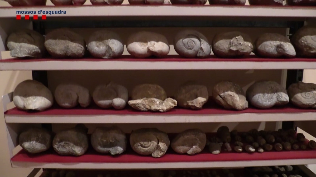 Arqueología mossos esquadra