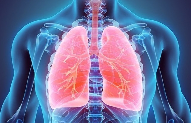 Pulmones