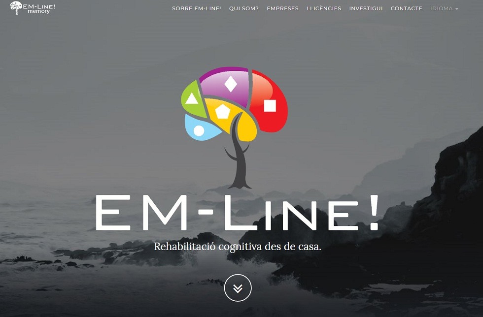 Rehabilitación online