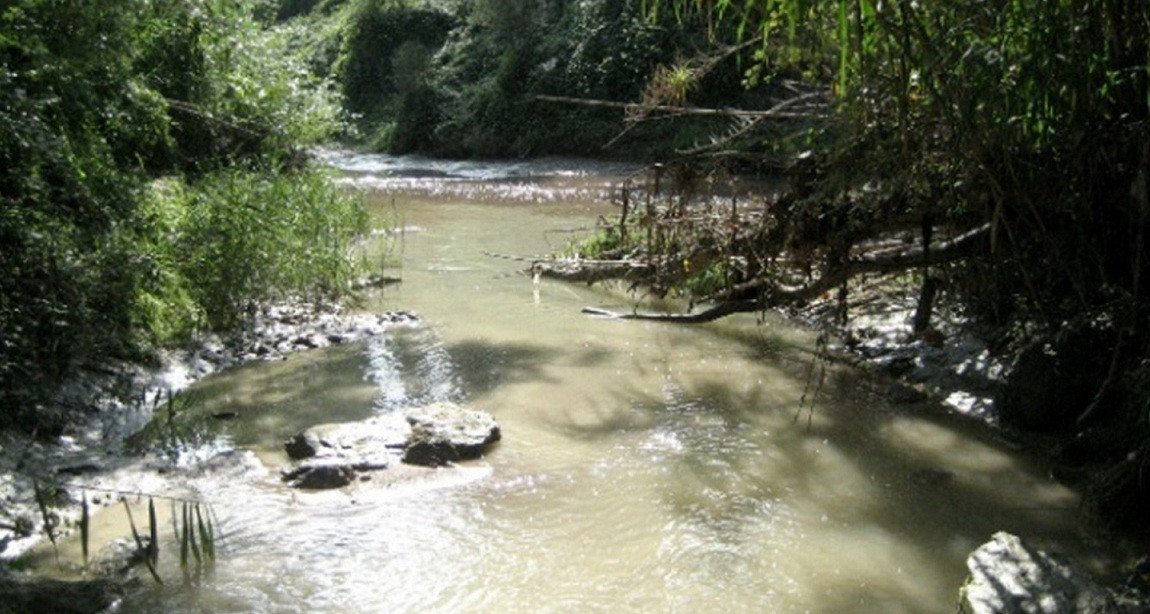 Río llobregat