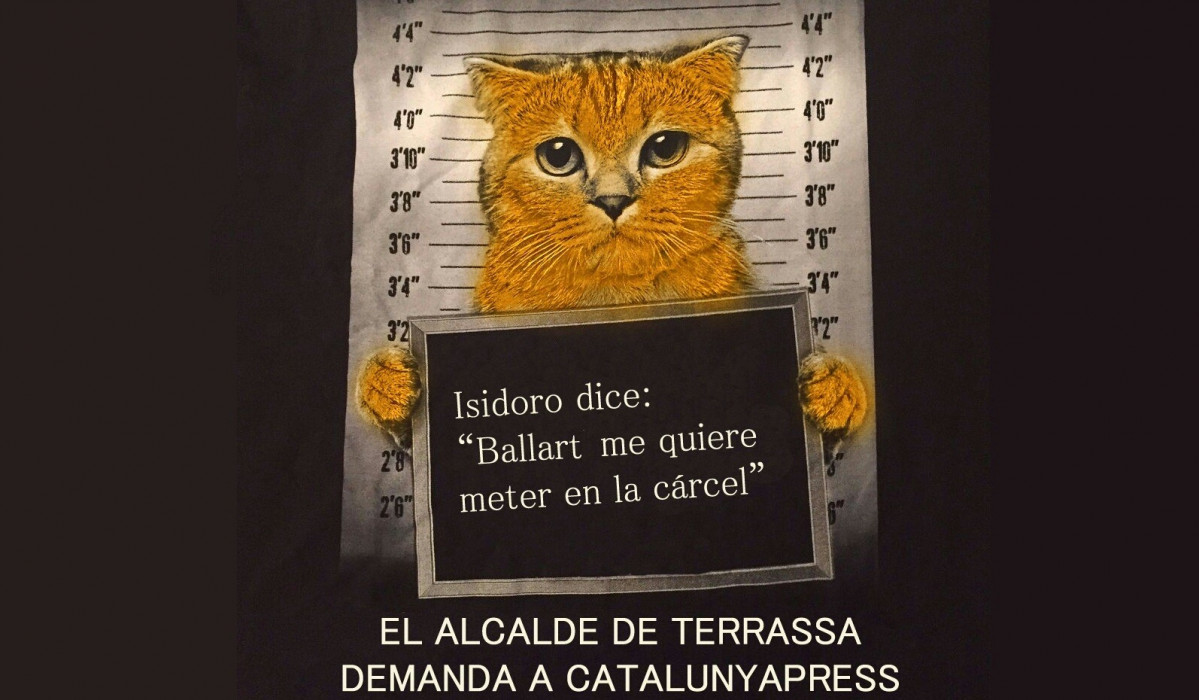 Gato