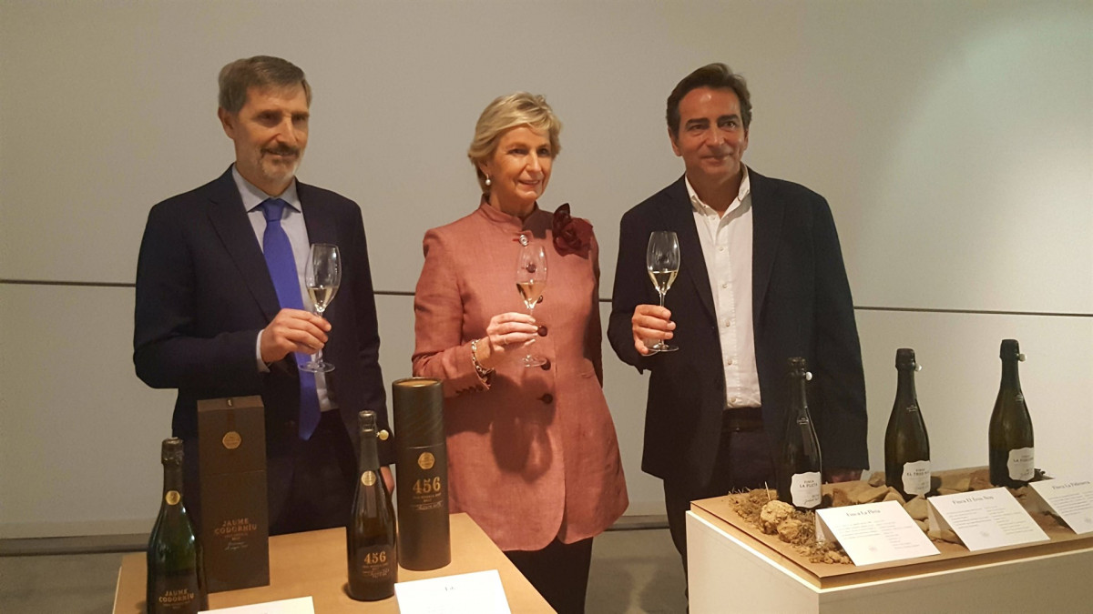 Grupo codorniu