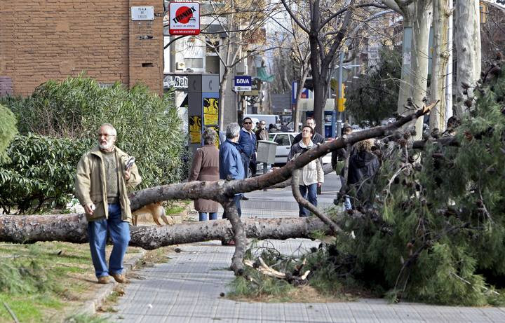 Viento bcn