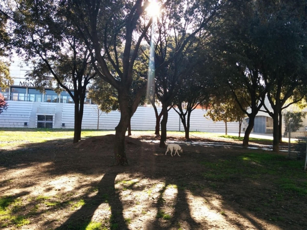 Area para perros en sarria sant gervasi