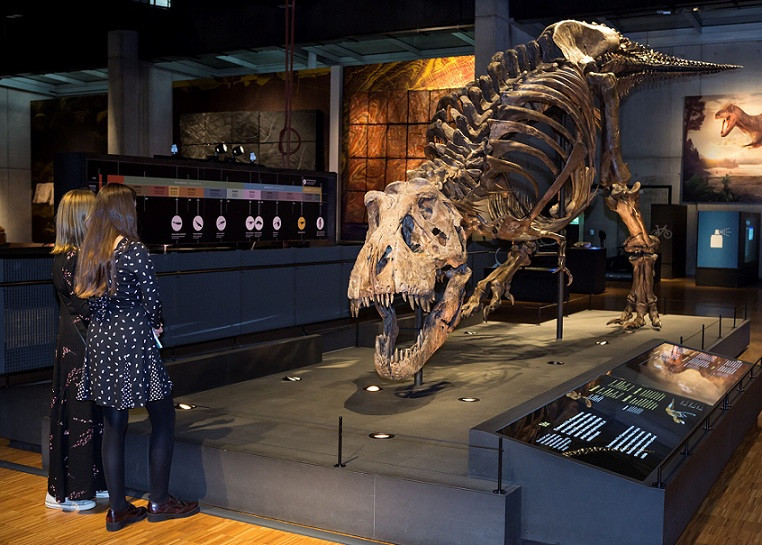 Visitants a l'eposició T rex CosmoCaixa