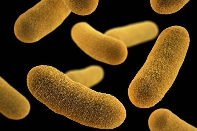 Bacterias antibióticos muerte por infección 17052018