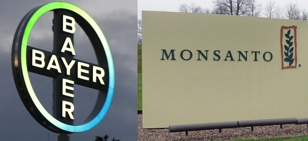 Bayer monsanto 07062018