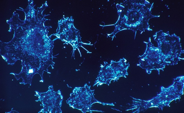 ​Descubren un mecanismo que controla genes importantes para el crecimiento del cáncer