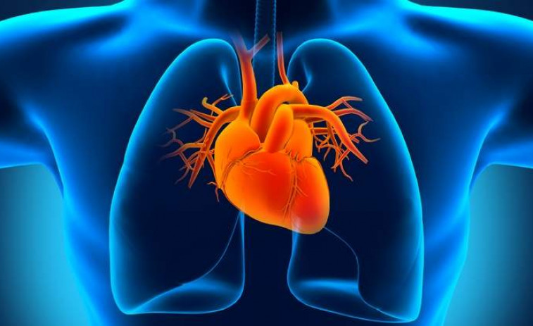 Dormir más de ocho horas aumenta el riesgo cardiovascular y de muerte en un 30%