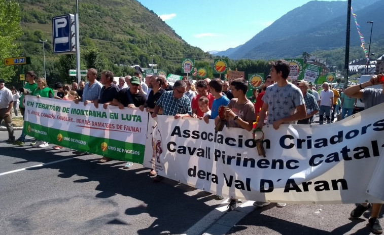 Unió de Pagesos pide a la Generalitat que proteja sus ganados de la fauna salvaje