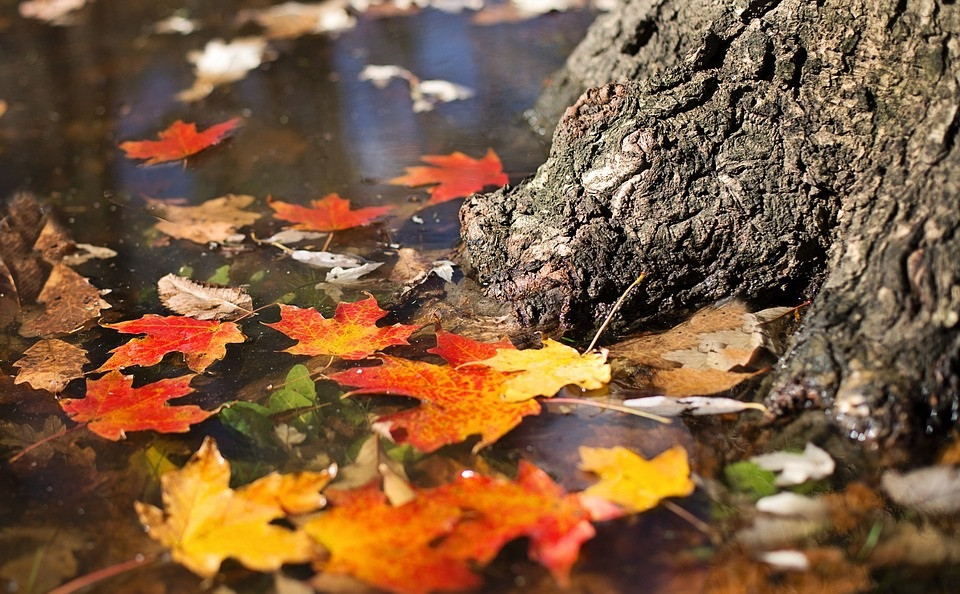 Otoño