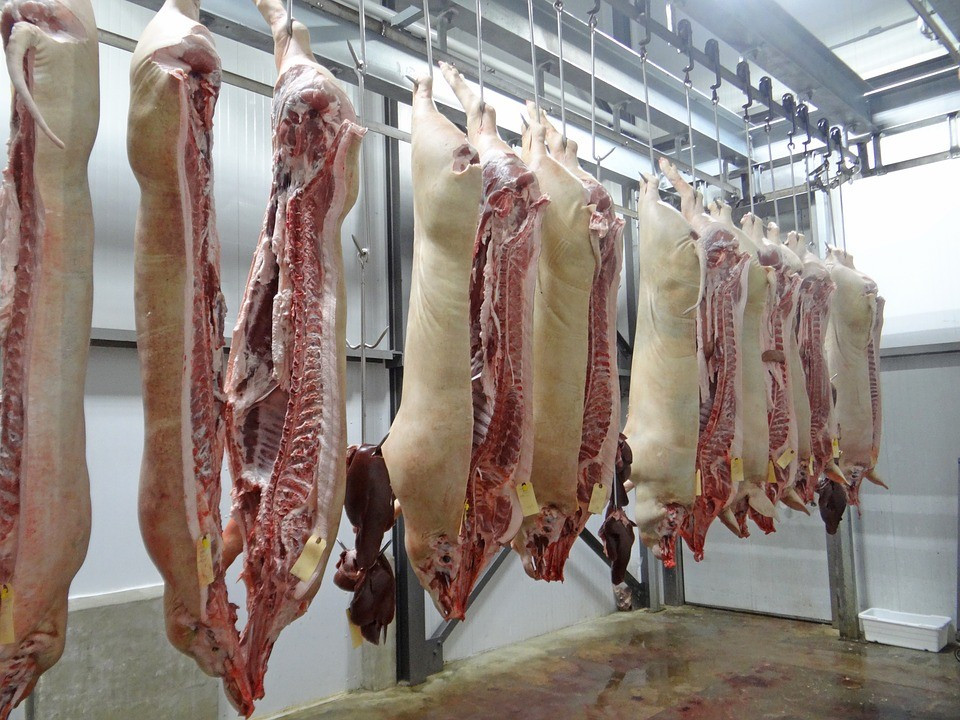 Matadero imagen