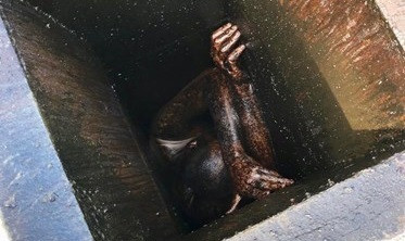 ​Un hombre se queda atrapado dos días en el extractor de gases de un restaurante chino abandonado