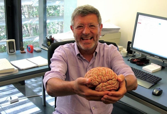 Nuevos mecanismos cerebro