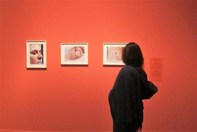 Arte y emociones en CaixaForum