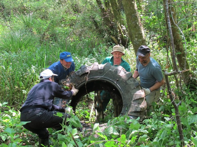 La Fundación Naturgy impulsa la recuperación del bosque autóctono gallego