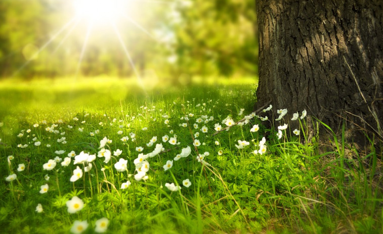 La Primavera durará 92 días y 18 horas