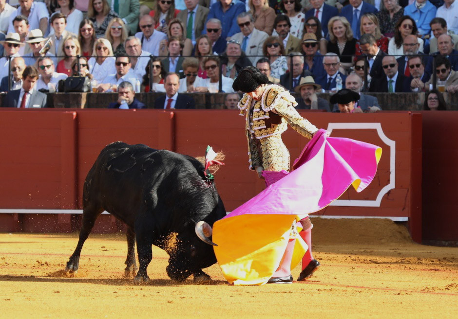 Toros imagen1