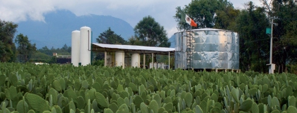 Planta de Biogu00e1s con nopal, Michoacu00e1n, Mu00e9xico