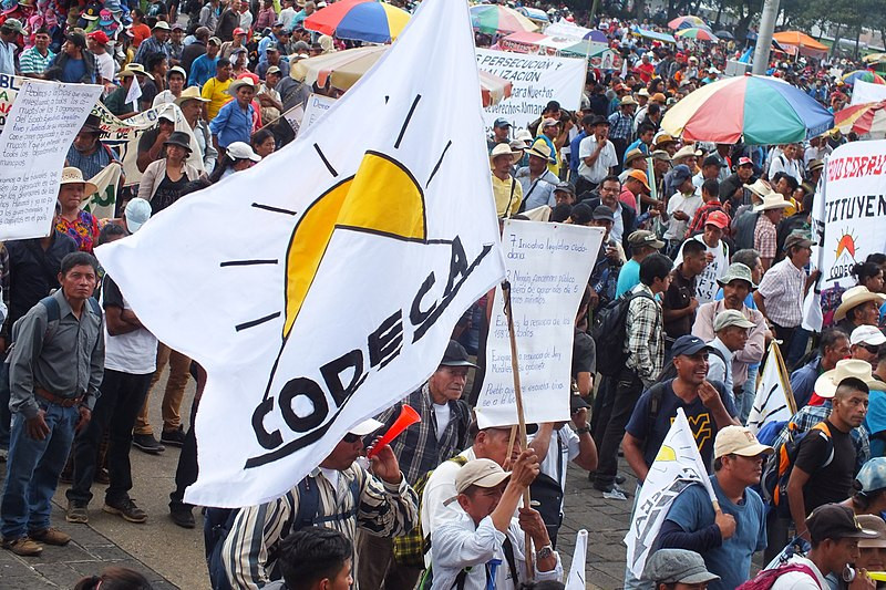 Codeca guatemala