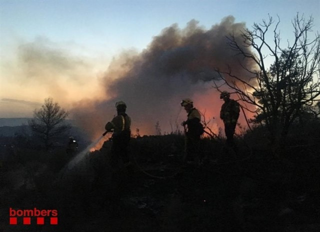 Bomberos apagan fuego ribera d'ebre incendio