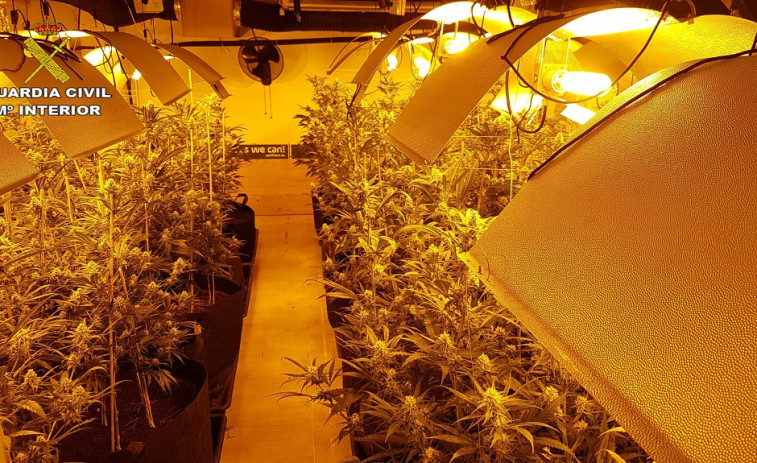 Desarticulada una organización criminal dedicada al cultivo 'indoor' de marihuana en Mataró