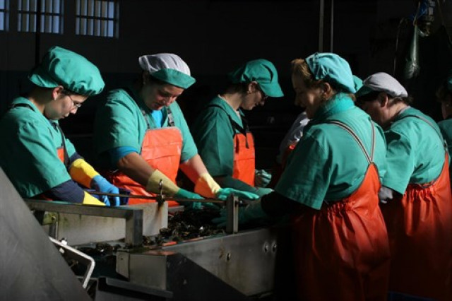 Mujeres trabajando 1 2
