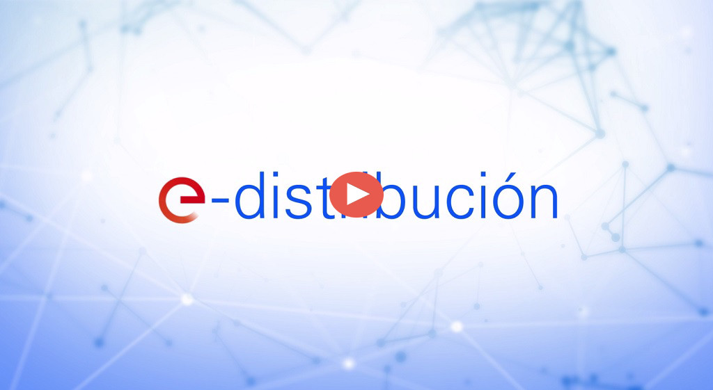 Logo e distribución, Endesa video