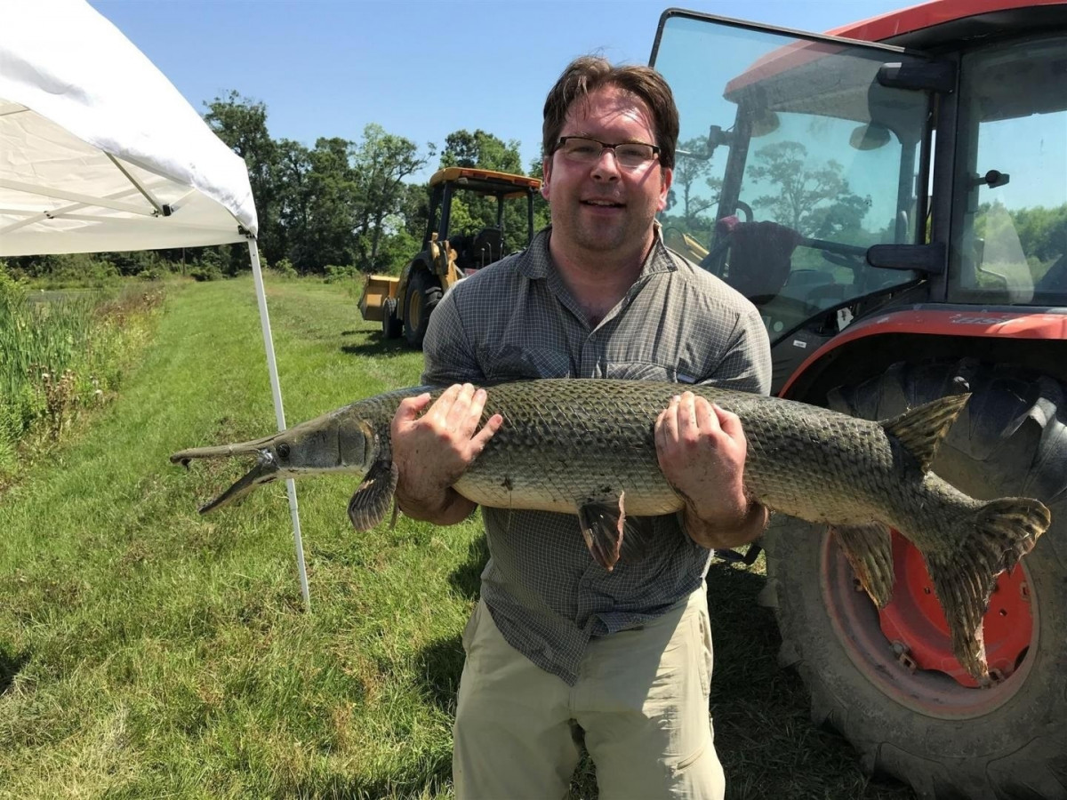 Secretos evolutivos del pez dentudo