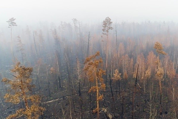 Incendio en Siberia