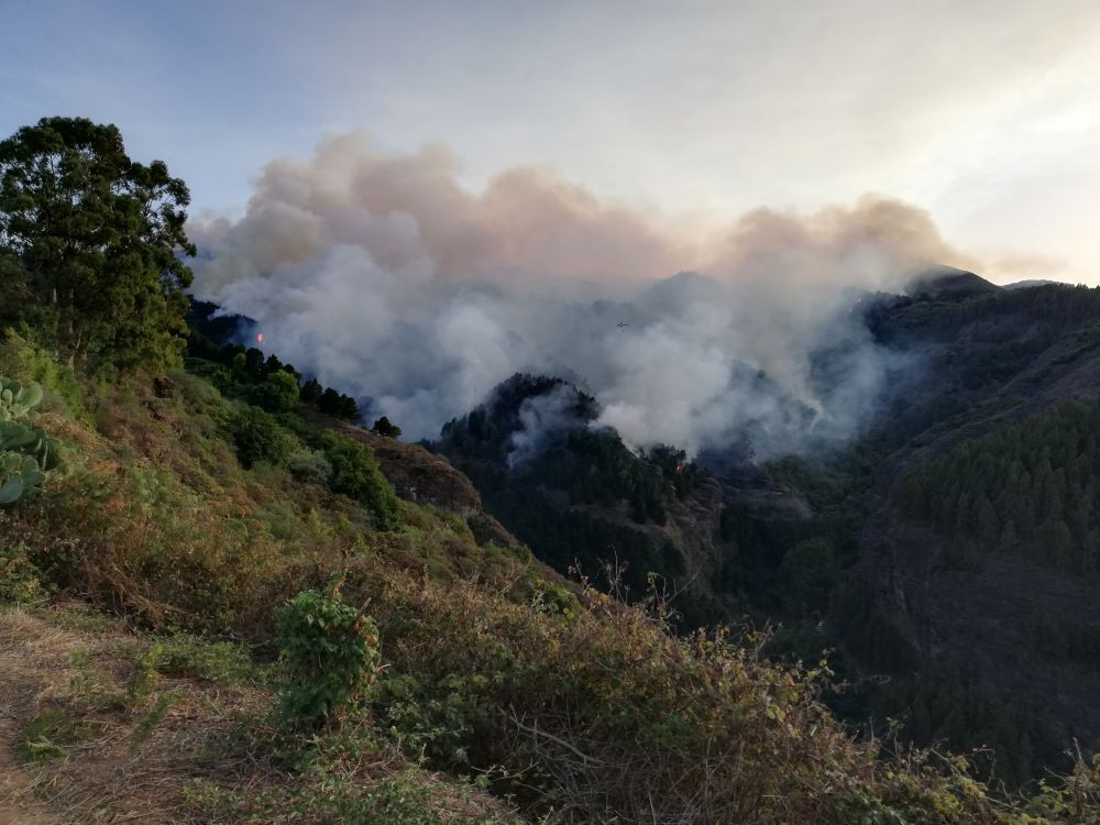 Incendio gran canaria