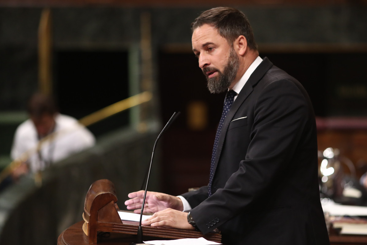 Abascal congreso diputados