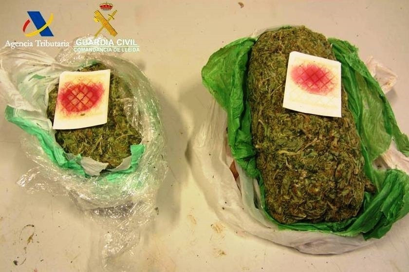 Marihuana
