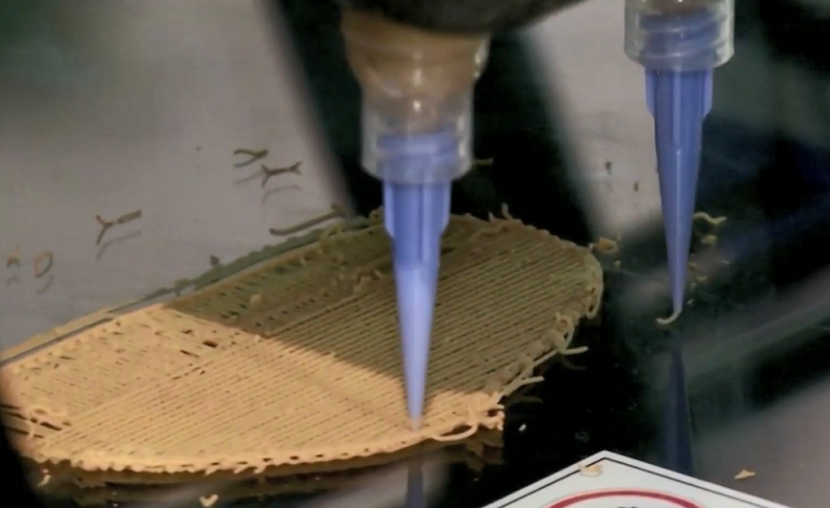 ​Carne producida en una impresora 3D, el alimento del futuro de los astronautas