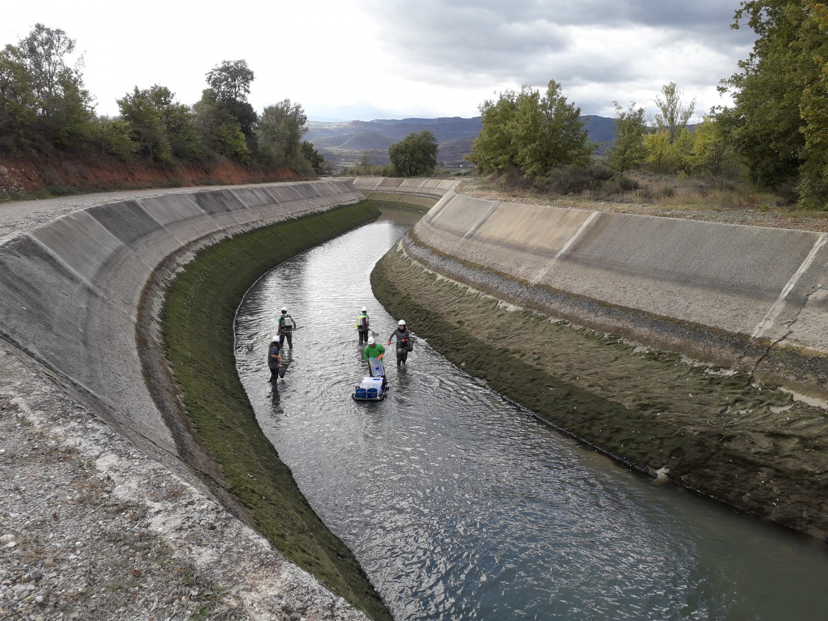 Rescate de truchas en el canal de Gavet