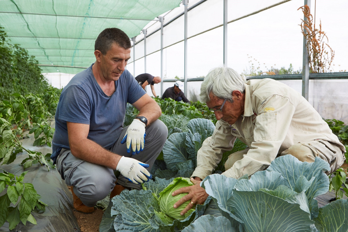 Proyecto de desarrollo social en el ámbito rural financiado por la Obra Social 'La Caixa'