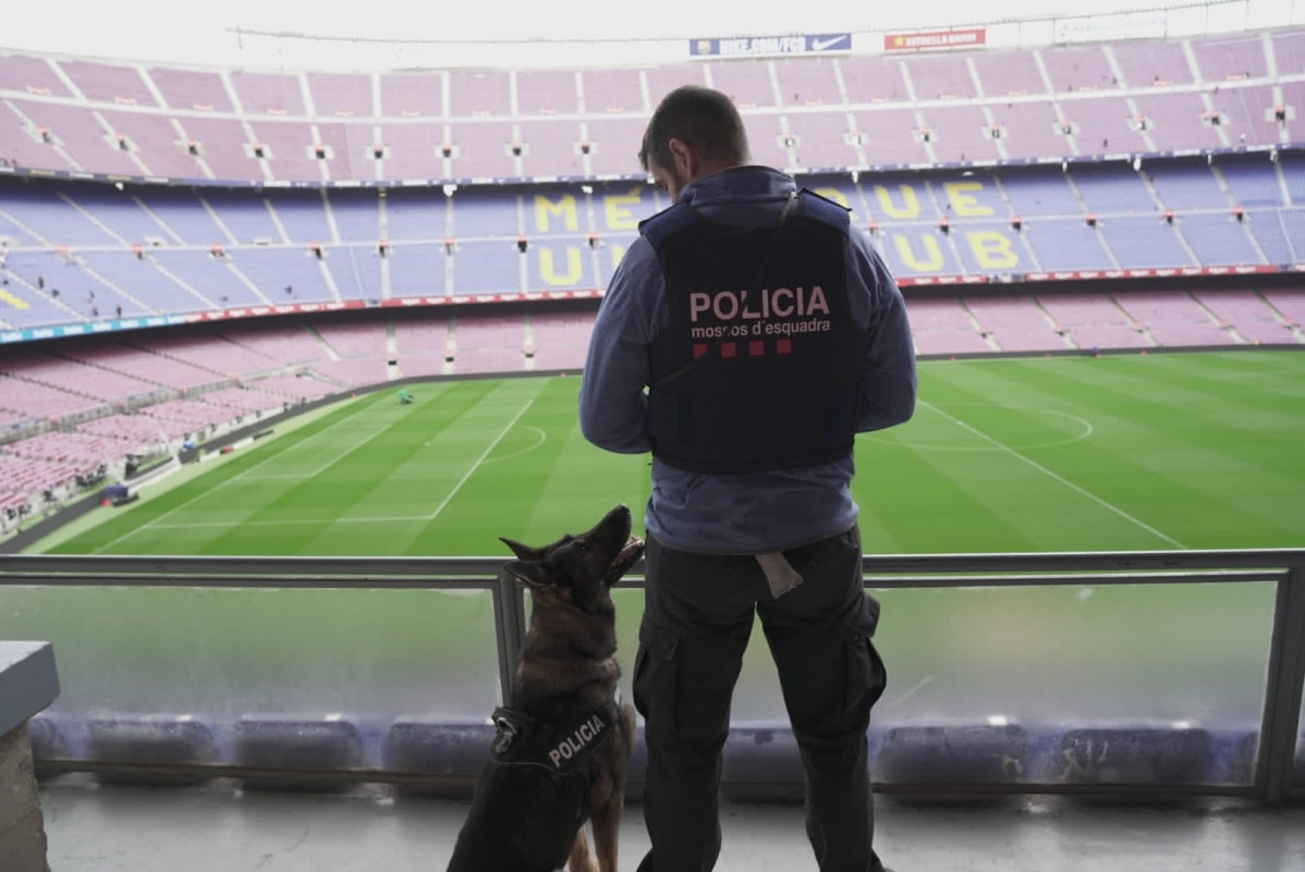 La unidad canina de los Mossos d'Esquadra en el Camp Nou