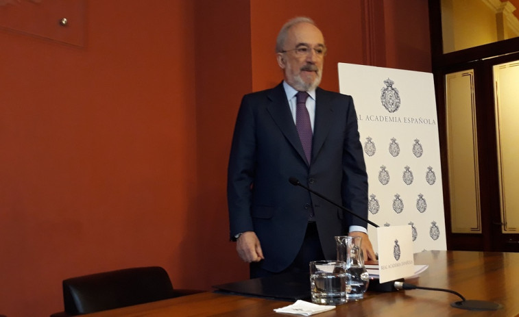 ​La RAE recomienda incluir 'Reina' y 'princesa' en la Constitución