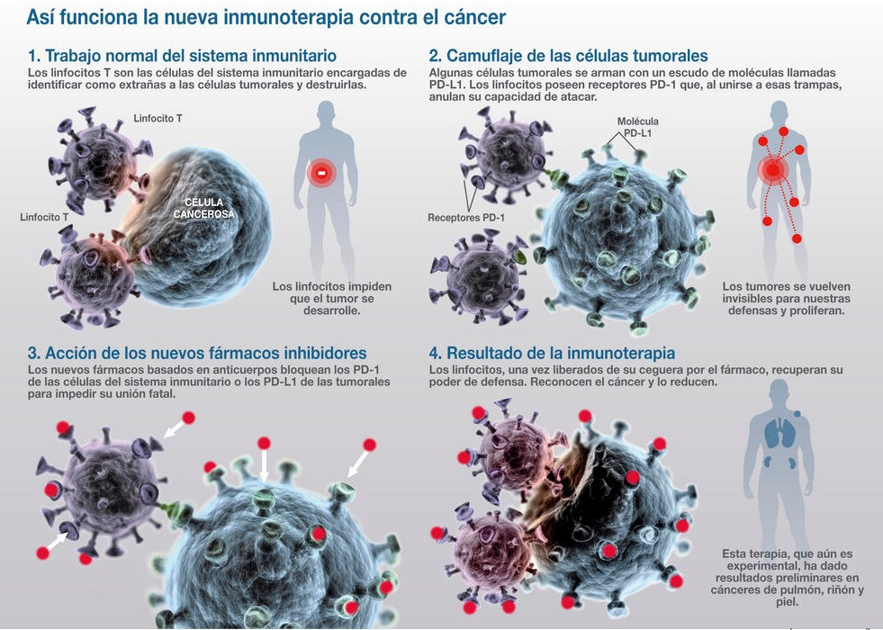 Inmunoterapia