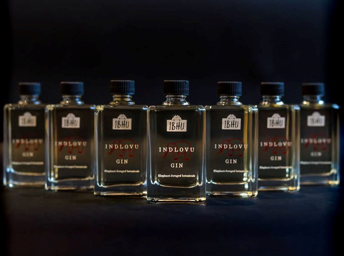 Indlovu Gin