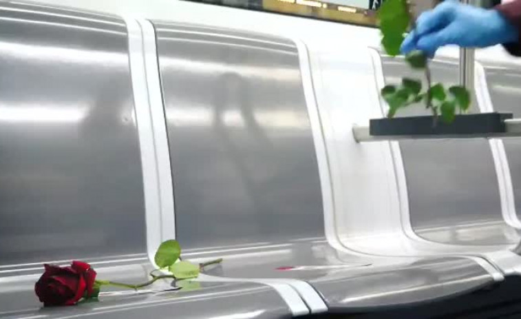​TMB y el Gremio de Floristas homenajean a las personas mayores con rosas en bus y metro en Sant Jordi